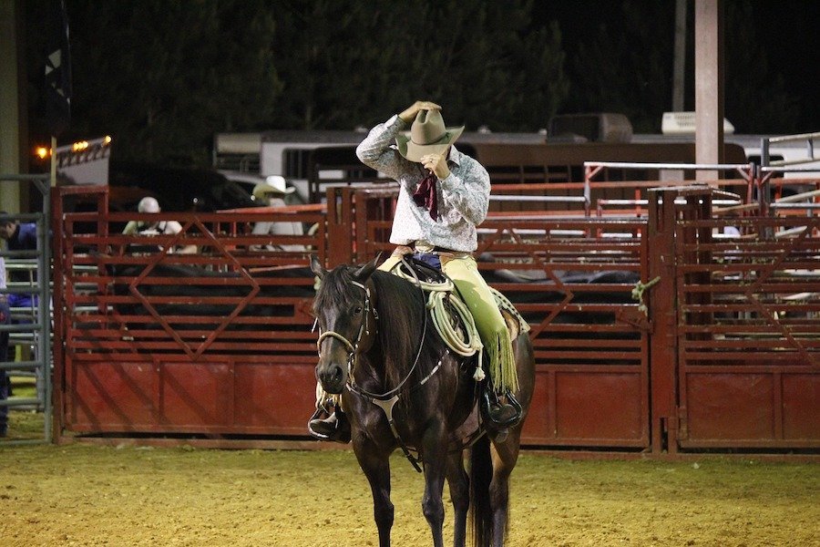 illusioni cadute cavallo foto di jeremyjack da pixabay cowboy 849498 1280