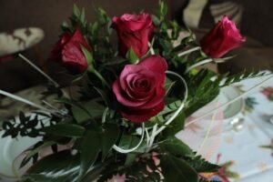 rose illusioni cadute rivincita foto di konrad da pixabay roses 3729326 640